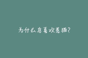 为什么鸟喜欢惹猫?