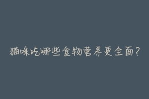 猫咪吃哪些食物营养更全面?
