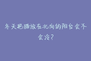 冬天把猫放在北向的阳台会不会冷?