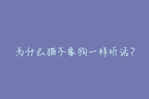 为什么猫不象狗一样听话?