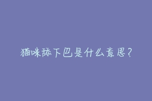猫咪舔下巴是什么意思?