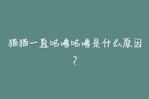 猫猫一直咕噜咕噜是什么原因?