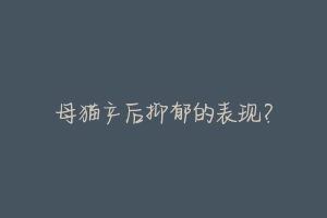 母猫产后抑郁的表现?