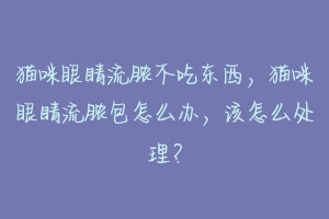 猫咪眼睛流脓不吃东西,猫咪眼睛流脓包怎么办,该怎么处理?