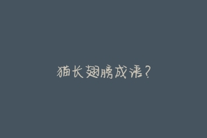 猫长翅膀成语?
