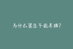 为什么男生不能养猫?