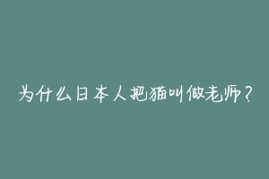 为什么日本人把猫叫做老师?