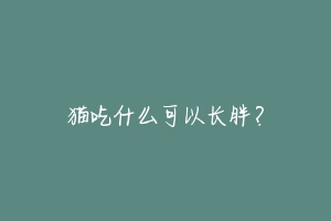 猫吃什么可以长胖?