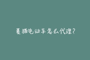 菱猫电动车怎么代理？