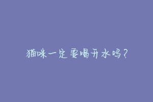 猫咪一定要喝开水吗?