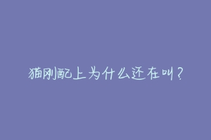 猫刚配上为什么还在叫?