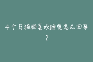 4个月猫猫喜欢睡觉怎么回事?