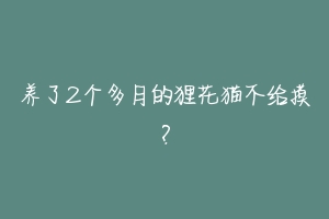 养了2个多月的狸花猫不给摸?