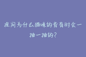 提问为什么猫咪的背有时会一抽一抽的?