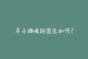 养小猫咪的男生如何?