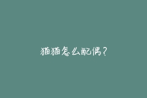 猫猫怎么配偶?