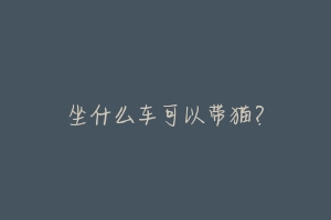 坐什么车可以带猫?