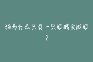 猫为什么只有一只眼睛会眨眼?