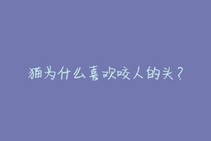 猫为什么喜欢咬人的头?