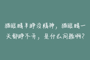 猫眼睛半睁没精神，猫眼睛一天都睁不开，是什么问题啊？