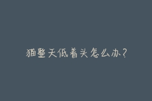 猫整天低着头怎么办?
