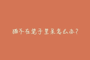 猫不在笼子里呆怎么办?