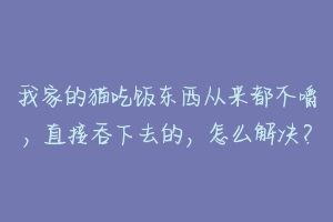 我家的猫吃饭东西从来都不嚼,直接吞下去的,怎么解决?