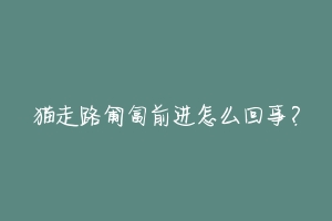 猫走路匍匐前进怎么回事?