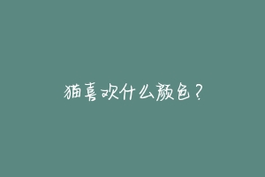 猫喜欢什么颜色?
