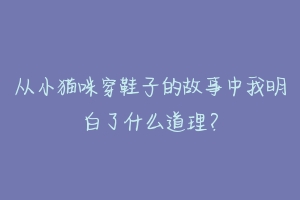 从小猫咪穿鞋子的故事中我明白了什么道理?
