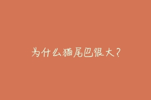 为什么猫尾巴很大?
