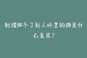 刺猬做不了别人怀里的猫是什么意思?