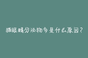 猫眼睛分泌物多是什么原因?