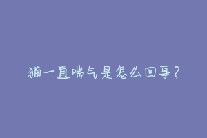 猫一直喘气是怎么回事?