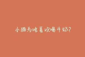 小猫为啥喜欢喝牛奶?