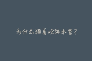 为什么猫喜欢舔水管?