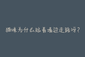 猫咪为什么贴着墙边走路呀?