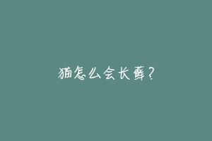 猫怎么会长藓?