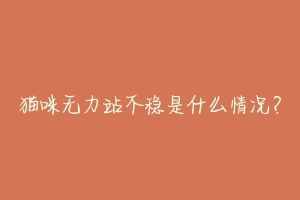 猫咪无力站不稳是什么情况?