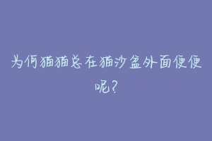 为何猫猫总在猫沙盆外面便便呢?