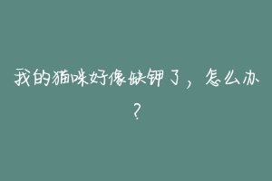 我的猫咪好像缺钾了,怎么办?