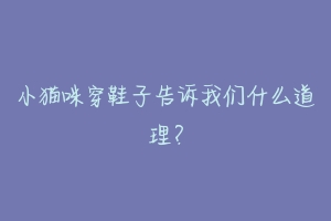 小猫咪穿鞋子告诉我们什么道理?