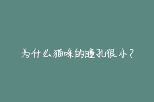 为什么猫咪的瞳孔很小?