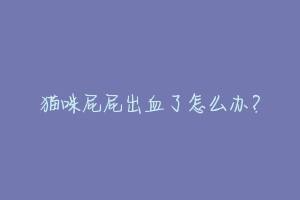 猫咪屁屁出血了怎么办?