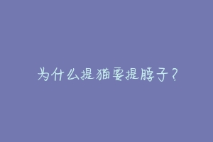 为什么提猫要提脖子？