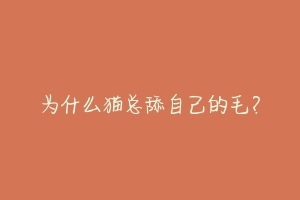 为什么猫总舔自己的毛?