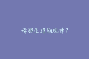 母猫生理期规律?