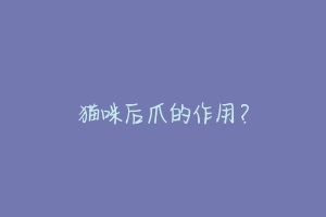 猫咪后爪的作用?