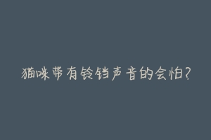猫咪带有铃铛声音的会怕?