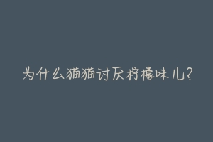 为什么猫猫讨厌柠檬味儿?
